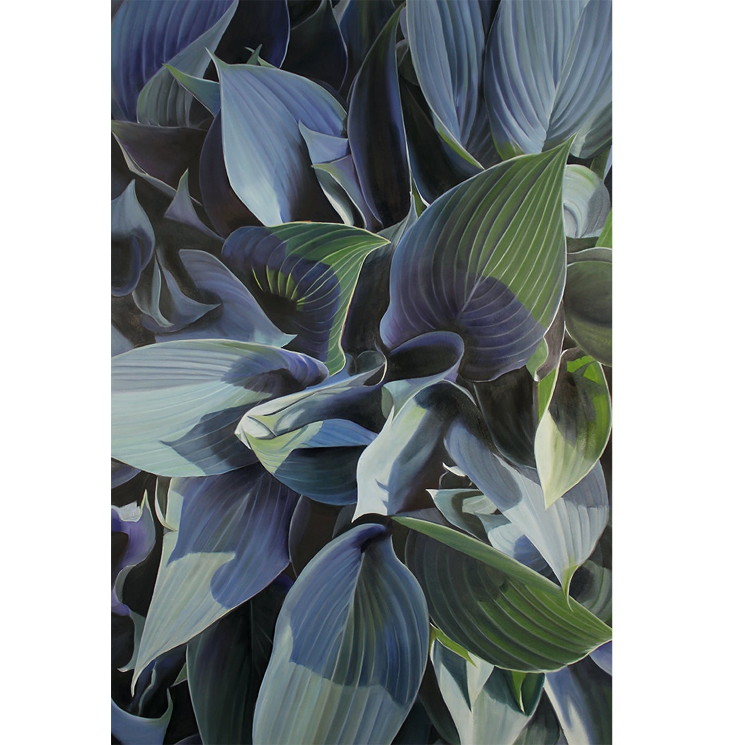 Hosta 36" x 24" - Petroff Gallery -  - 