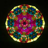 Super Giant Flower Kaleidoscope - Petroff Gallery -  - Roy Cohen - Super Giant Flower Kaleidoscope