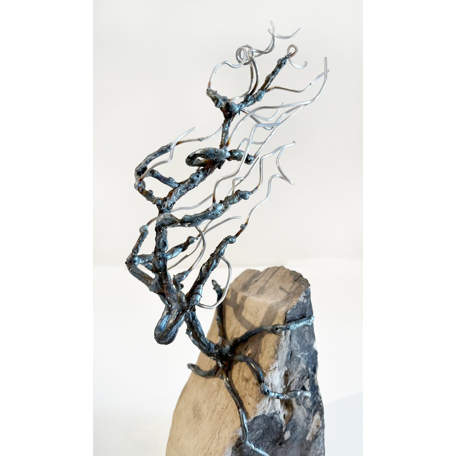 Windswept Tree with Rock Petroff Gallery 